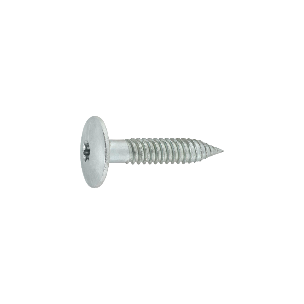 TDA-S-D16 #12 Facade Panel Screw, Dome Head, 304 Full Stainless