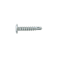 SX3-D12 #12 Metal Self-Drill Screw Bi-Met, Dome Head, 300 Stainless